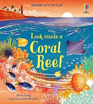 Look inside a Coral Reef