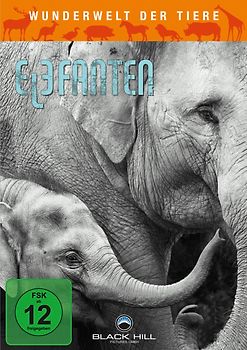Wunderwelt der Tiere - Elefanten DVD