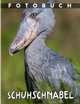 Schuhschnabel Fotobuch: Stand-and-Wait-Jäger-Bilderbuch zum Dekorieren von Zimmer, Zuhause, Büro | 40 Bilder für Kinder, Kinder oder Verliebte | Geburtstag | Jeder Anlass | Zum Stressabbau