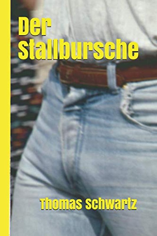 Der Stallbursche (Männersachen, Band 15)