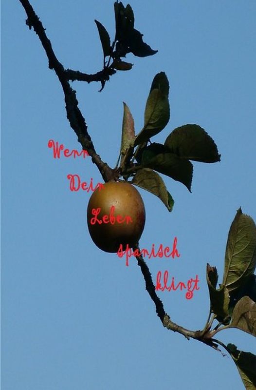 Wenn dein Leben spanisch klingt