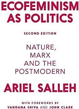 Ecofeminism as Politics: Nature, Marx and the Postmodern