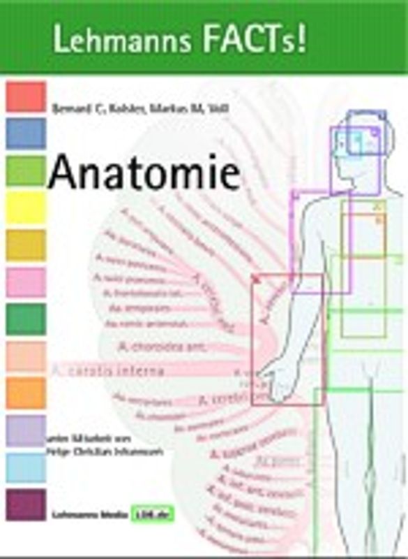 Anatomie