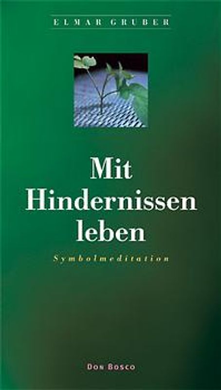 Mit Hindernissen leben. Symbolmeditation