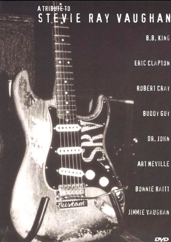 Various Artists - A Tribute to Stevie Ray Vaughan