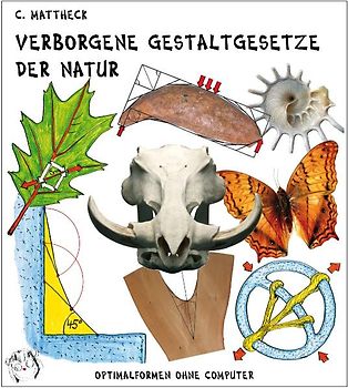 Verborgene Gestaltgesetze der Natur