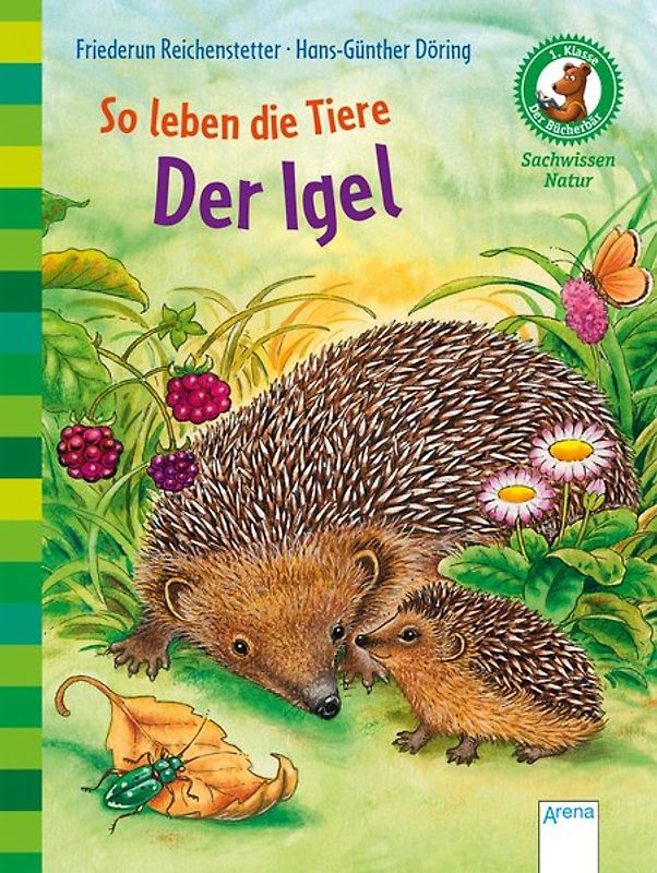 So leben die Tiere. Der Igel