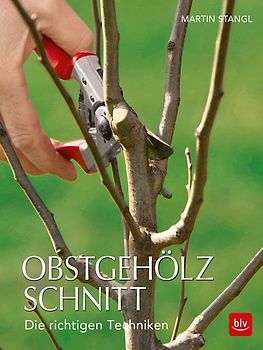 Obstgehölzschnitt