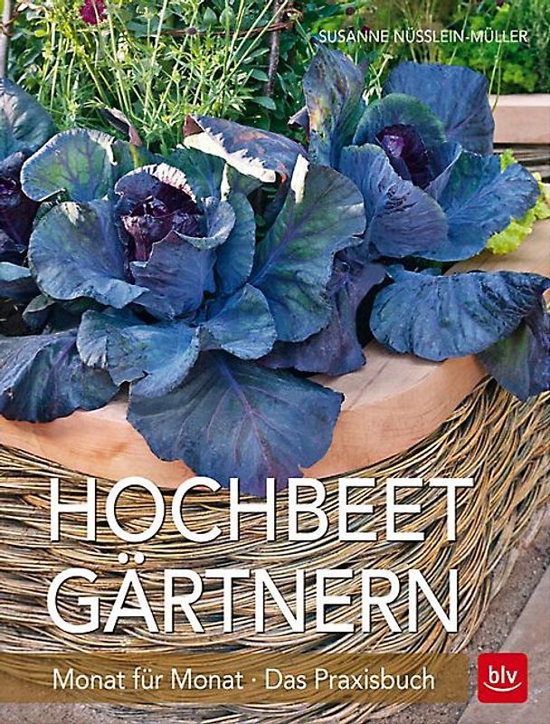 Hochbeet-Gärtnern Monat für Monat