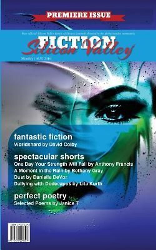 Fiction Silicon Valley