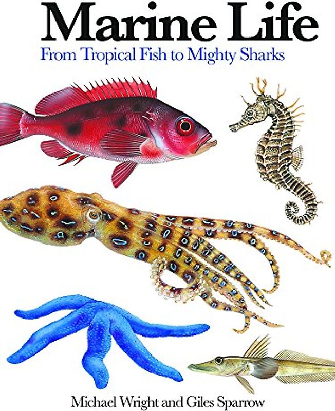 Marine Life: From Tropical Fish to Mighty Sharks (Mini Encyclopedia)