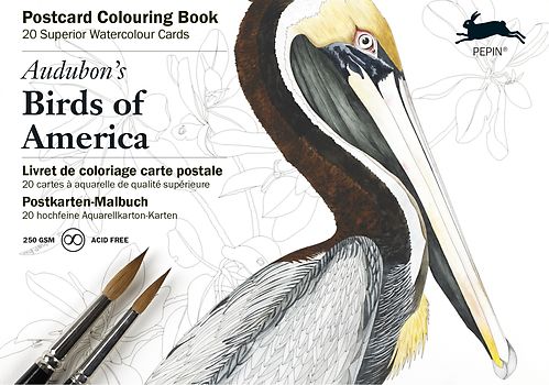 Audubon - Birds of America