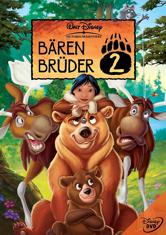Bärenbrüder 2 DVD