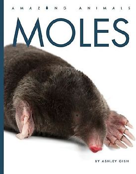 Moles
