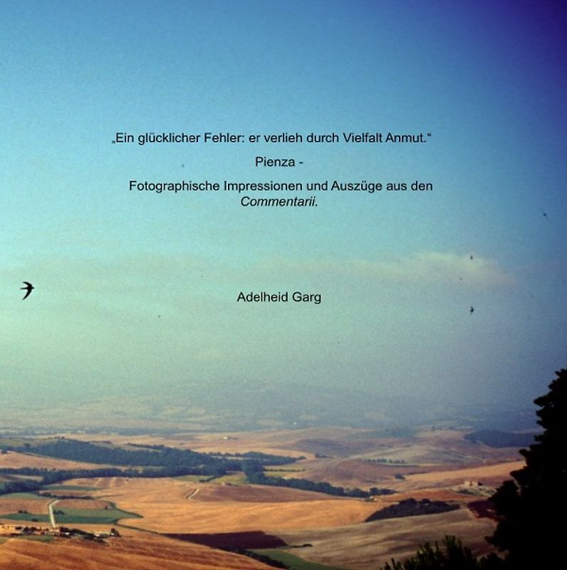 "Ein glücklicher Fehler: er verlieh durch Vielfalt Anmut." Pienza - Fotographische Impressionen und Auszüge aus den "Commentarii"