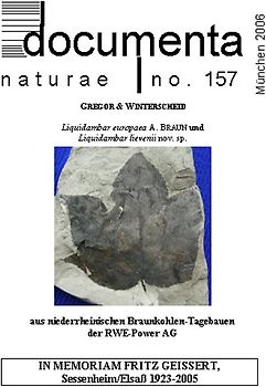 Liquidambar aus niederrheinischen Braunkohlen