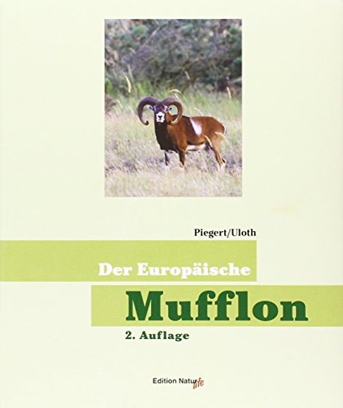 Der europäische Mufflon