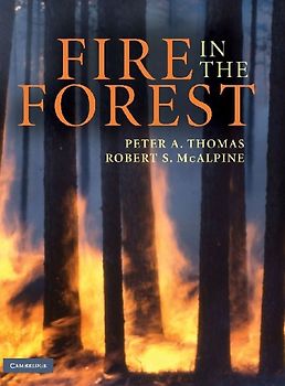 Fire in the Forest