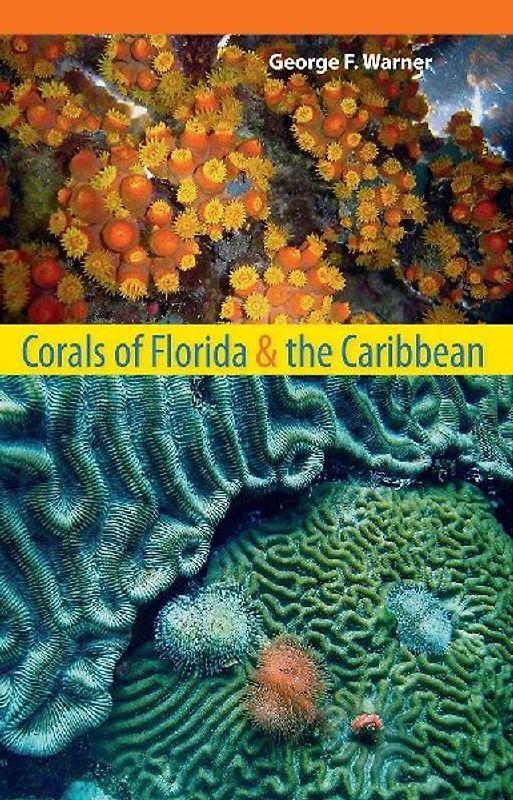 Corals of Florida and the Caribbean