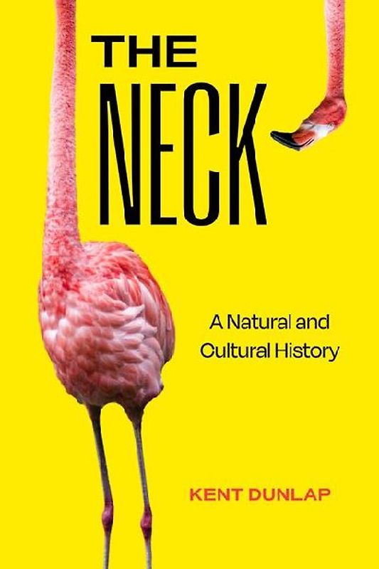 The Neck