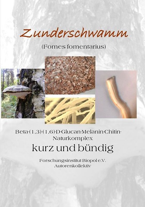 Veröffentlichungen des Forschungsinstitutes Biopol / Zunderschwamm Beta-(1,3)-(1-6)-D-Glucan-Melanin-Chitin-Naturkomplex kurz und bündig