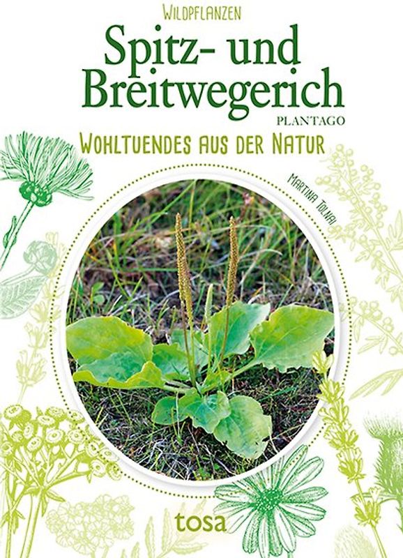 Spitz- und Breitwegerich