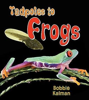 Tadpoles to Frogs