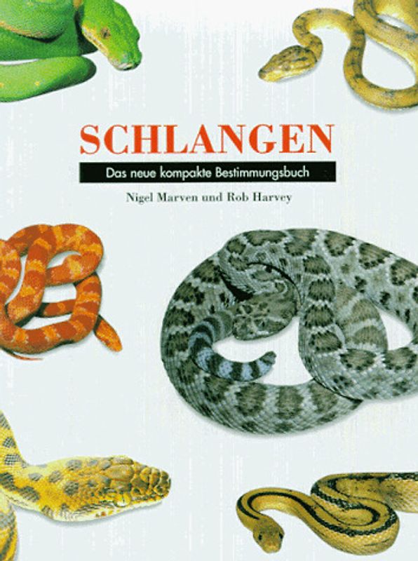 Schlangen