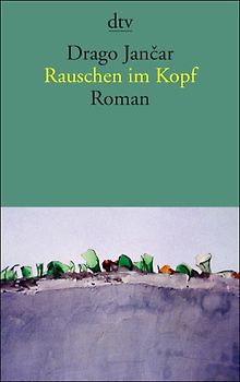 Rauschen im Kopf