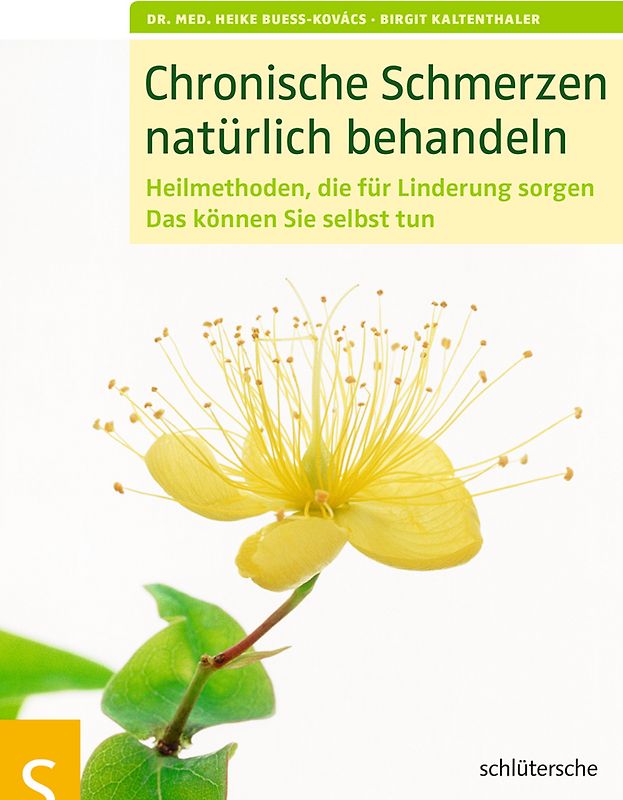 Chronische Schmerzen natürlich behandeln