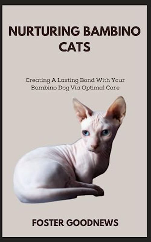 NURTURING BAMBINO CATS: Creating A Lasting Bond With Your Bambino Dog Via Optimal Care