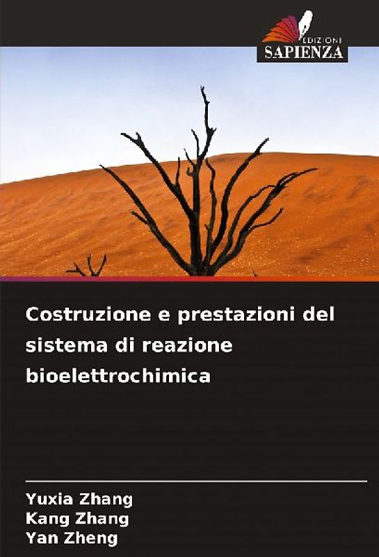 Costruzione e prestazioni del sistema di reazione bioelettrochimica