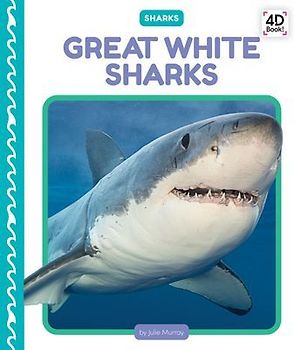 Great White Sharks
