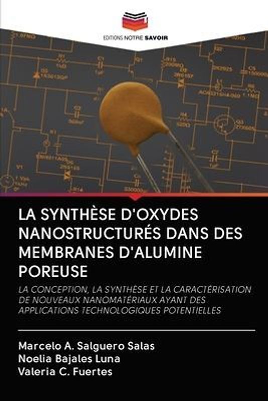 LA SYNTHÈSE D'OXYDES NANOSTRUCTURÉS DANS DES MEMBRANES D'ALUMINE POREUSE