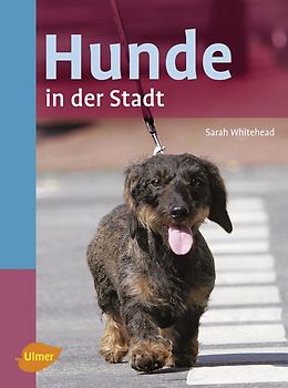 Hunde in der Stadt