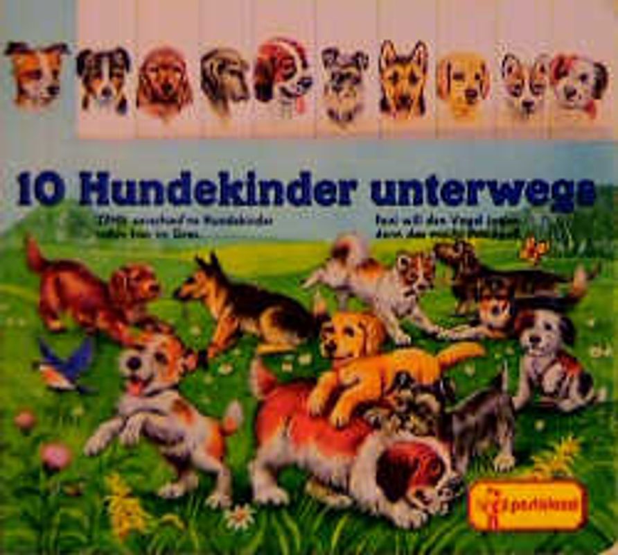 10 Hundekinder unterwegs