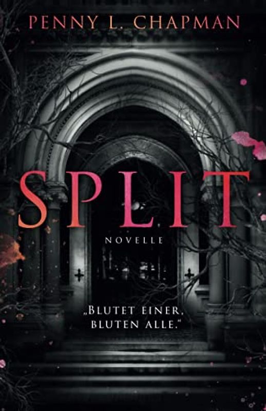 Split: Eine Unfolding Novelle (Rebels of St. Cilline, Band 2)