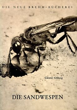 Die Sandwespen