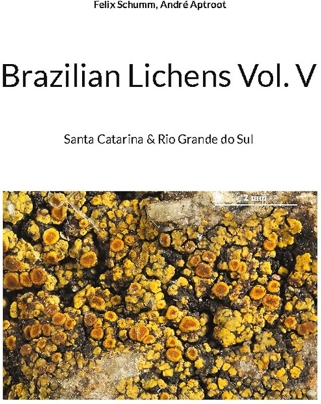 Brazilian Lichens Vol V