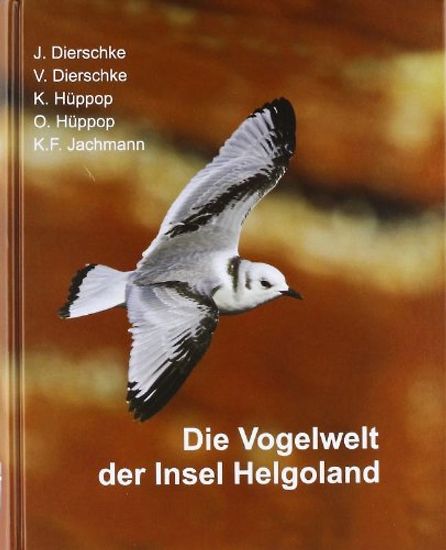 Die Vogelwelt der Insel Helgoland