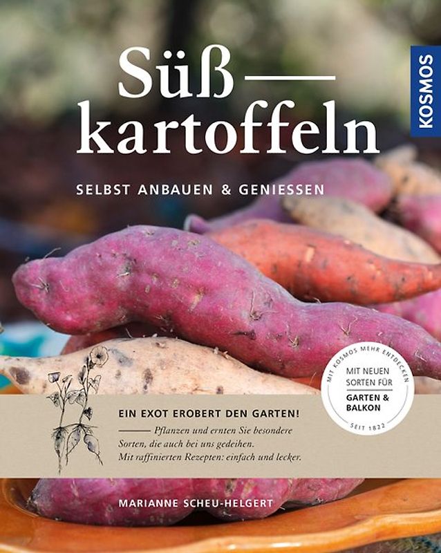 Süßkartoffeln
