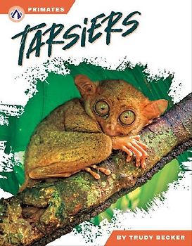 Tarsiers