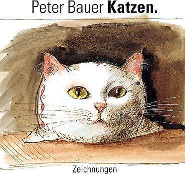 Katzen