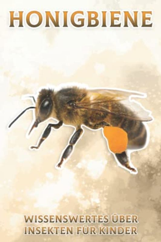 Honigbiene: Wissenswertes über Insekten für Kinder #18
