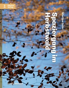 Spaziergang im Herbstwald