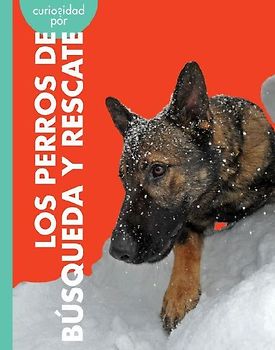 Curiosidad Por Los Perros de Búsqueda Y Rescate