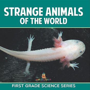 Strange Animals Of The World