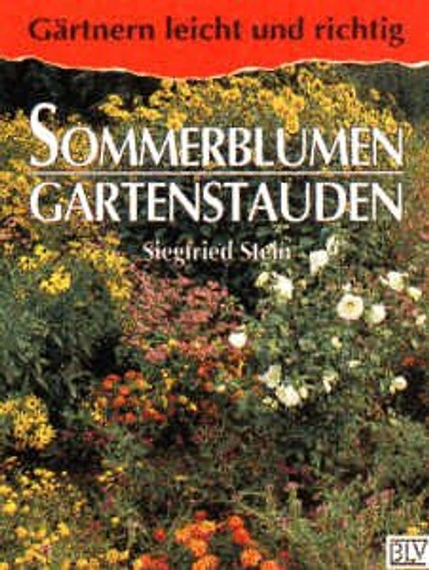 Sommerblumen, Gartenstauden
