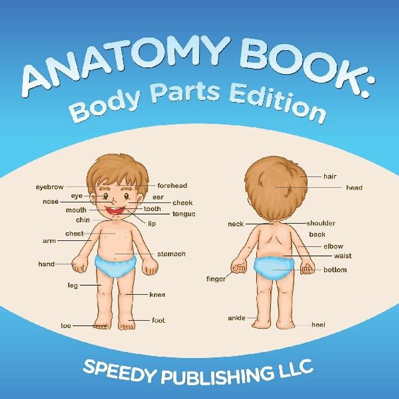 Anatomy Book