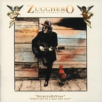 Zucchero - Spirito Divino (Stray Cat in a